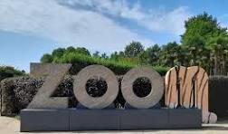 ingresso serale gratuito al Bioparco Zoom per i cittadini residenti - PROROGA
